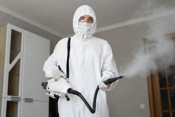 Best Environmental Consulting for Mold Prevention  in Bucyrus, OH